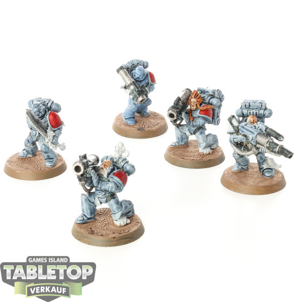 Space Wolves - 5x Space Wolves Long Fangs - teilweise bemalt