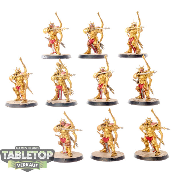 Stormcast Eternals - 10 x Judicators - bemalt