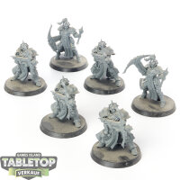 Stormcast Eternals - 5 x Castigators - unbemalt
