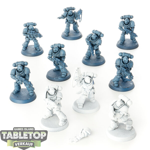 Space Wolves - 10 x Intercessors - teilweise bemalt