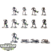 Necrons - 10 x Necron Warriors - bemalt
