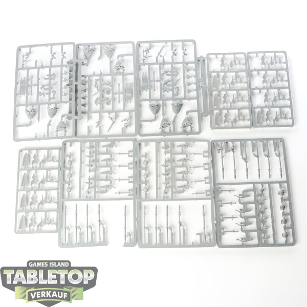 High Elf Realms - 10x High Elf Warriors Regiment - im Gussrahmen