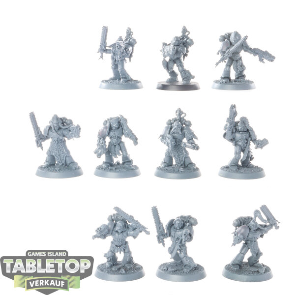 Space Wolves - 10x Grey Hunters - teilweise bemalt