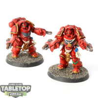 Space Marines - 2x Primaris Aggressors - bemalt