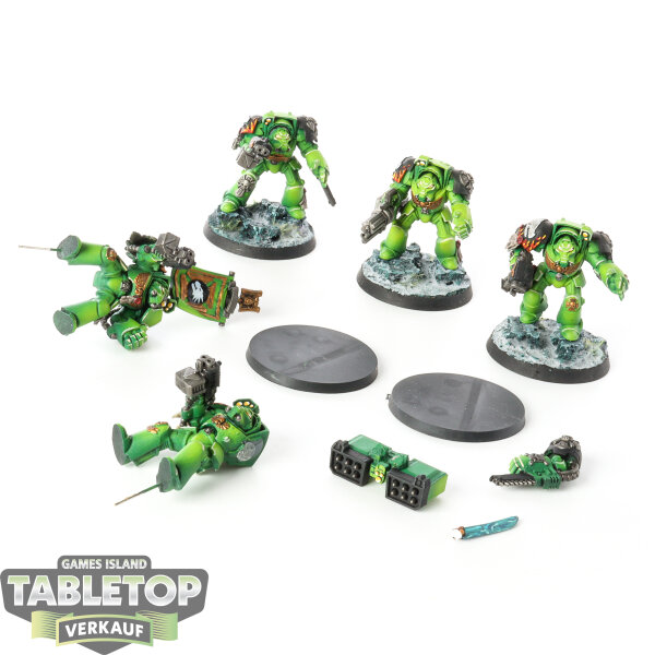 Salamanders - 5x Terminators - gut bemalt