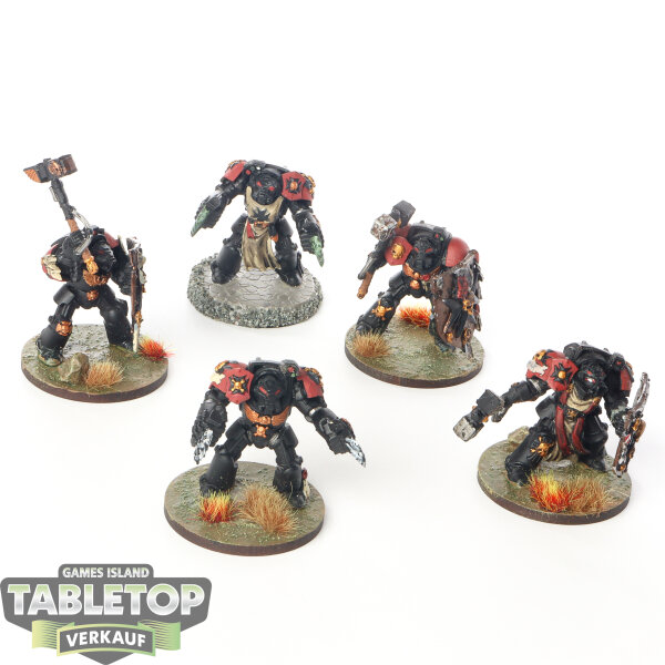 Black Templars - 5 x Terminator Assault Squad - teilweise bemalt