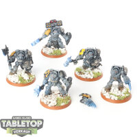 Space Wolves - 5x Wolf Guard Terminators - bemalt