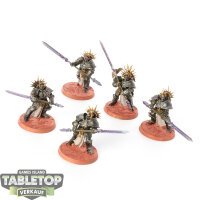 Stormcast Eternals - 5x Protectors - bemalt