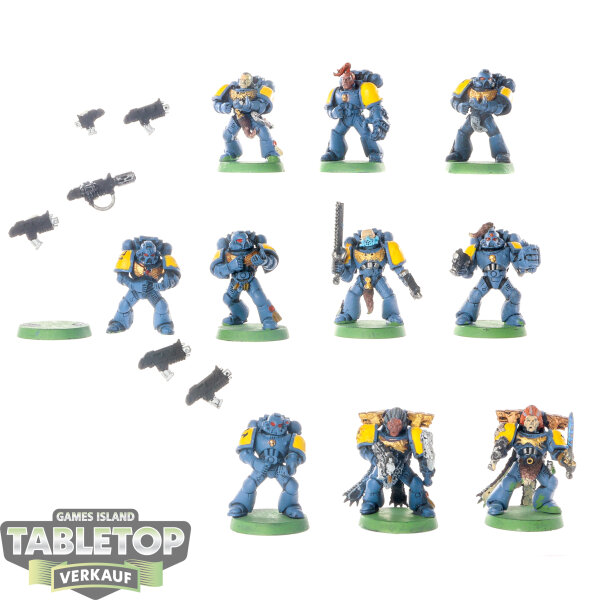 Space Wolves - 10 x Grey Hunters - teilweise bemalt