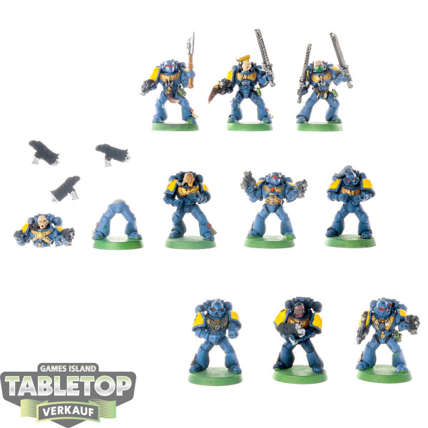 Space Wolves - 10 x Grey Hunters - teilweise bemalt
