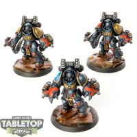 Deathwatch - 3 x Primaris Aggressors - bemalt