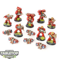 Blood Angels - 8 Sternguard Veteran Squad - bemalt