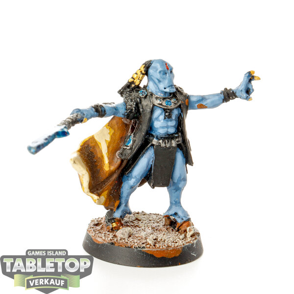 Hedonites of Slaanesh - AunShi, Tau Ethereal - bemalt