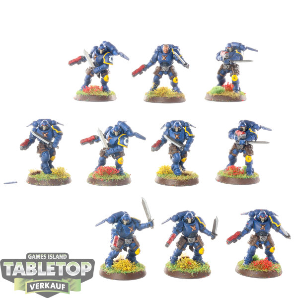 Ultramarines - 10x Primaris Reivers - bemalt