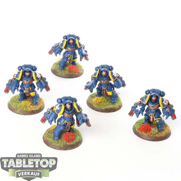 Ultramarines - 5x Primaris Aggressors - bemalt