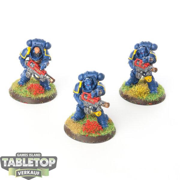 Ultramarines - 3x Primaris Eradicators - bemalt