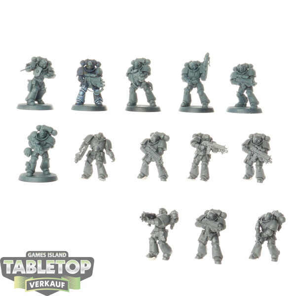 Space Wolves - 13x Intercessors - teilweise bemalt