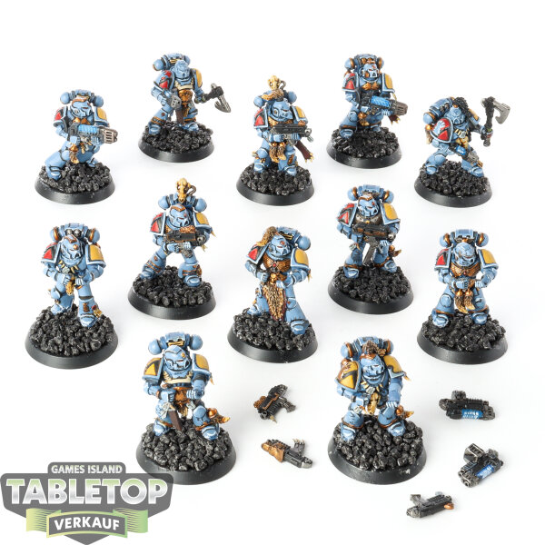 Space Wolves - 12 Grey Hunters - bemalt