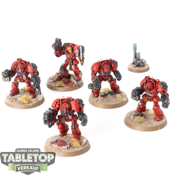 Space Marines - 5 x Terminator Squad klassisch - bemalt