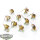 Orruk Warclans - 10x Gutrippaz - bemalt