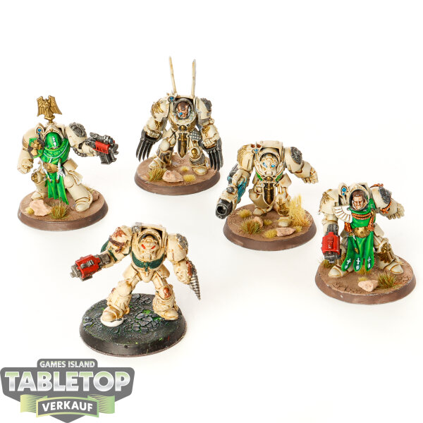 Dark Angels - 5x Deathwing Command Squad klassisch - bemalt