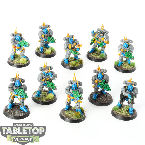 Space Marines - 10 Primaris Infiltrators - bemalt
