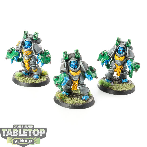 Space Marines - 3 Primaris Aggressors - bemalt