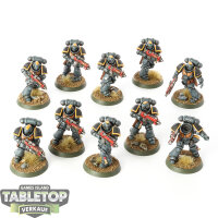 Space Marines - 10 Intercessors - bemalt