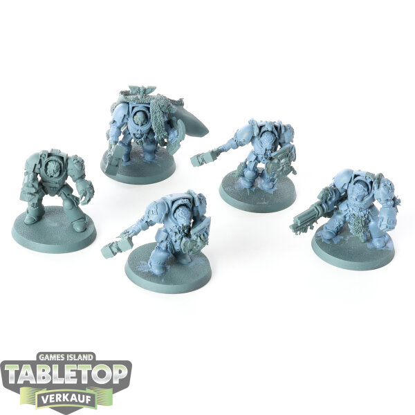 Space Wolves - 5x Terminators - grundiert