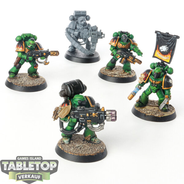 Salamanders - 5 x Tactical  - teilweise bemalt