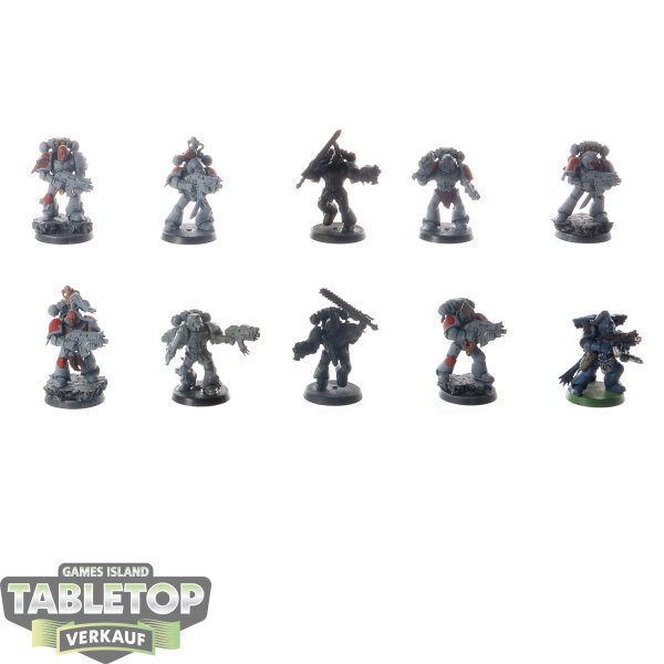 Space Wolves - 10x Grey Hunters - teilweise bemalt