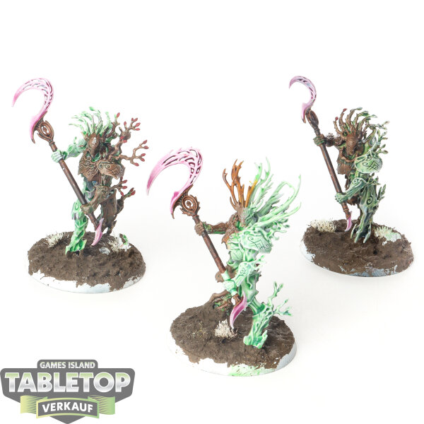 Sylvaneth - 3x Kurnoth Hunters - bemalt