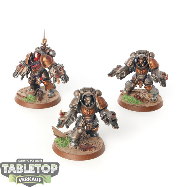 Space Marines - 3 x Primaris Aggressors - bemalt