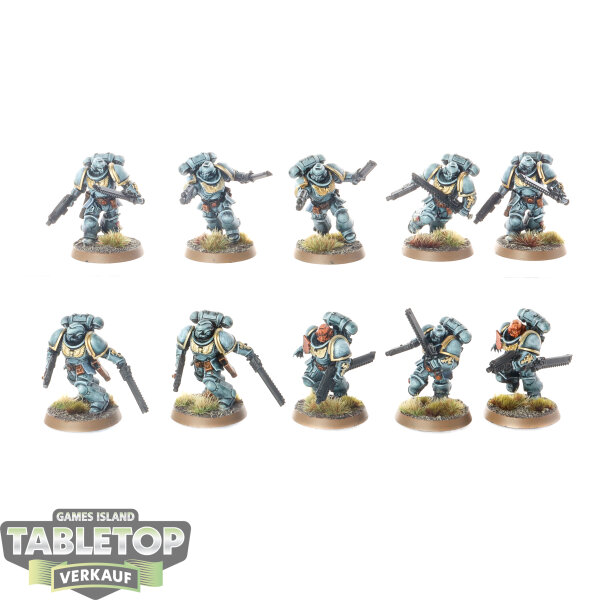 Space Marines - 10 x Assault Intercessors - bemalt