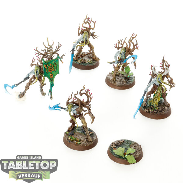 Sylvaneth - 5x Tree-Revenants - bemalt