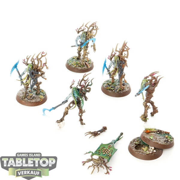 Sylvaneth - 5x Tree-Revenants - bemalt