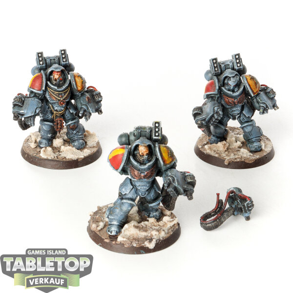 Space Wolves - 3 x Primaris Aggressors - bemalt