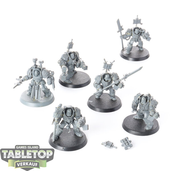 Grey Knights - 6x Grey Knights Paladins - unbemalt