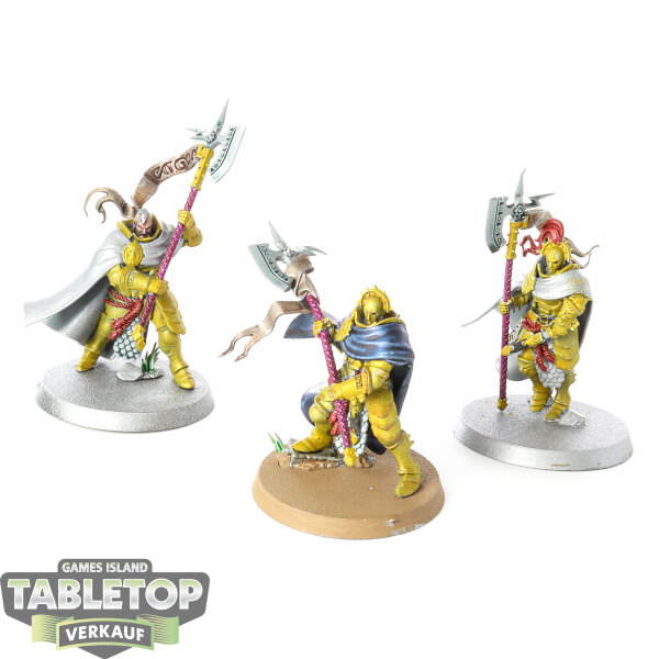 Stormcast Eternals - 3 Praetors - bemalt