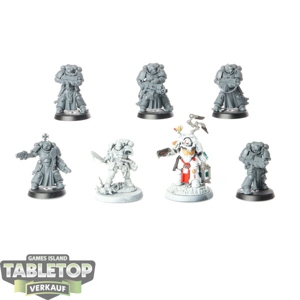 Space Marines - Heroes of the Chapter - teilweise bemalt