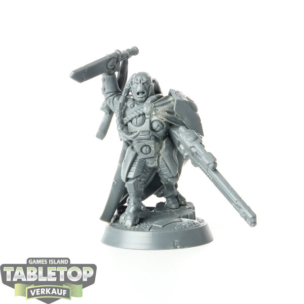 Tau Empire - Cadre Fireblade - unbemalt