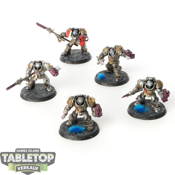 Grey Knights - 5x Grey Knights Terminator Squad - teilweise bemalt