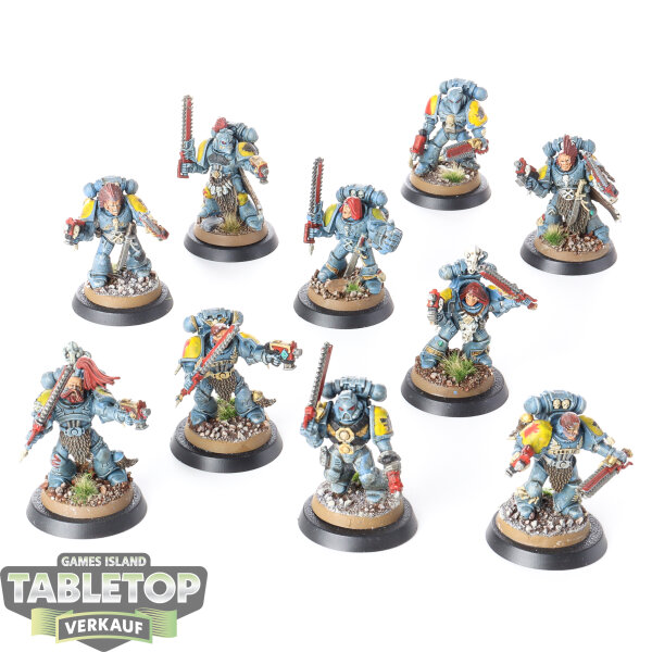 Space Wolves - 10x Grey Hunters - bemalt