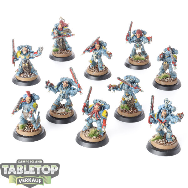 Space Wolves - 10x Grey Hunters - bemalt