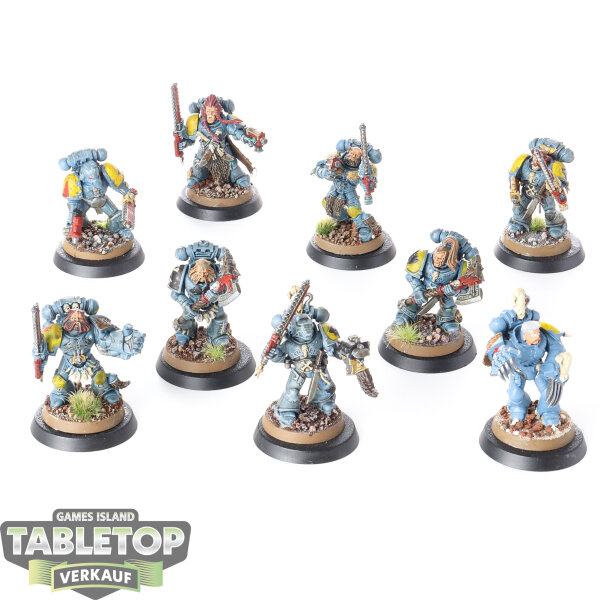 Space Wolves - 9x Grey Hunters - bemalt
