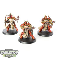 Stormcast Eternals - 3 Castigators - bemalt