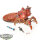 Adeptus Mechanicus - Adeptus Mechanicus Onager Dunecrawler - bemalt