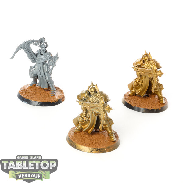 Stormcast Eternals - 3x Castigators - teilweise bemalt