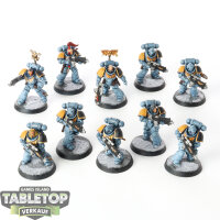 Space Wolves - 10 Intercessors - bemalt