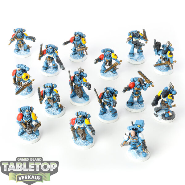 Space Wolves - 15 Blood Claws - bemalt